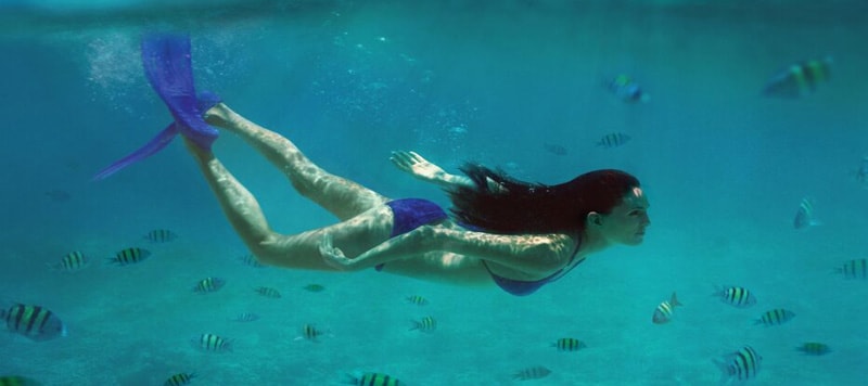 Taj Exotica Resort Spa Maldives 7